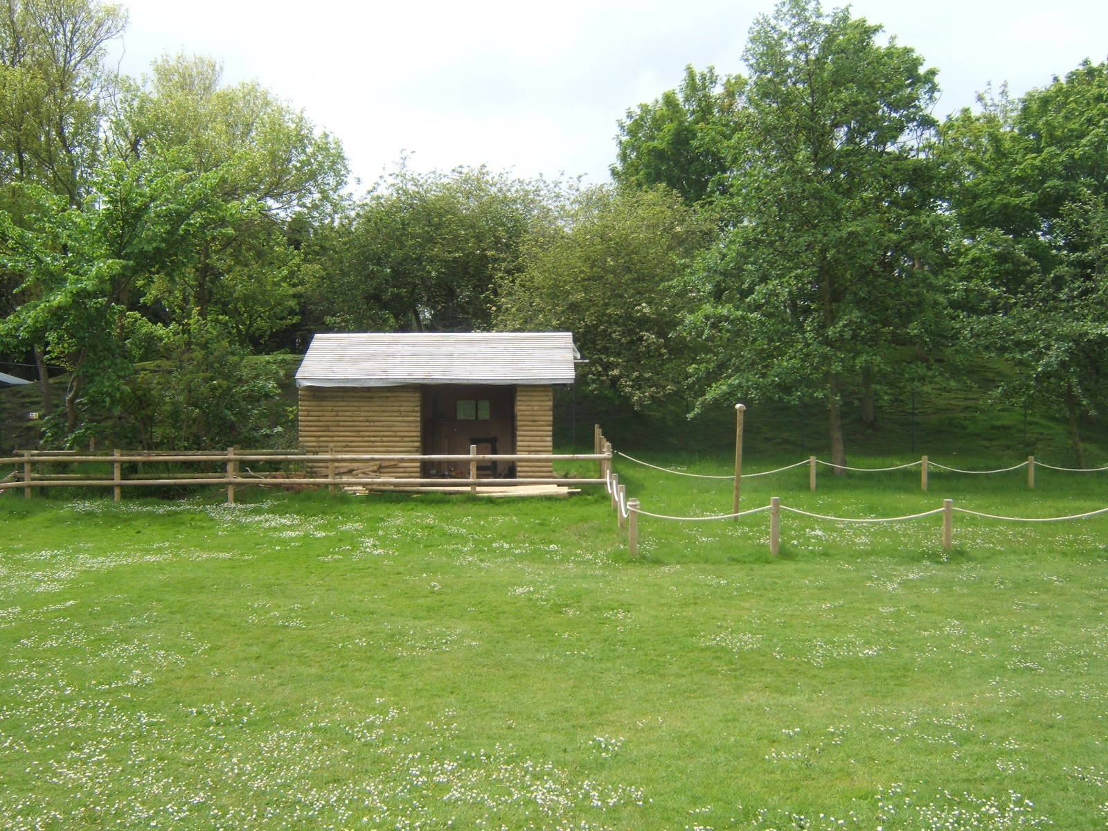 View of new Falconry display area