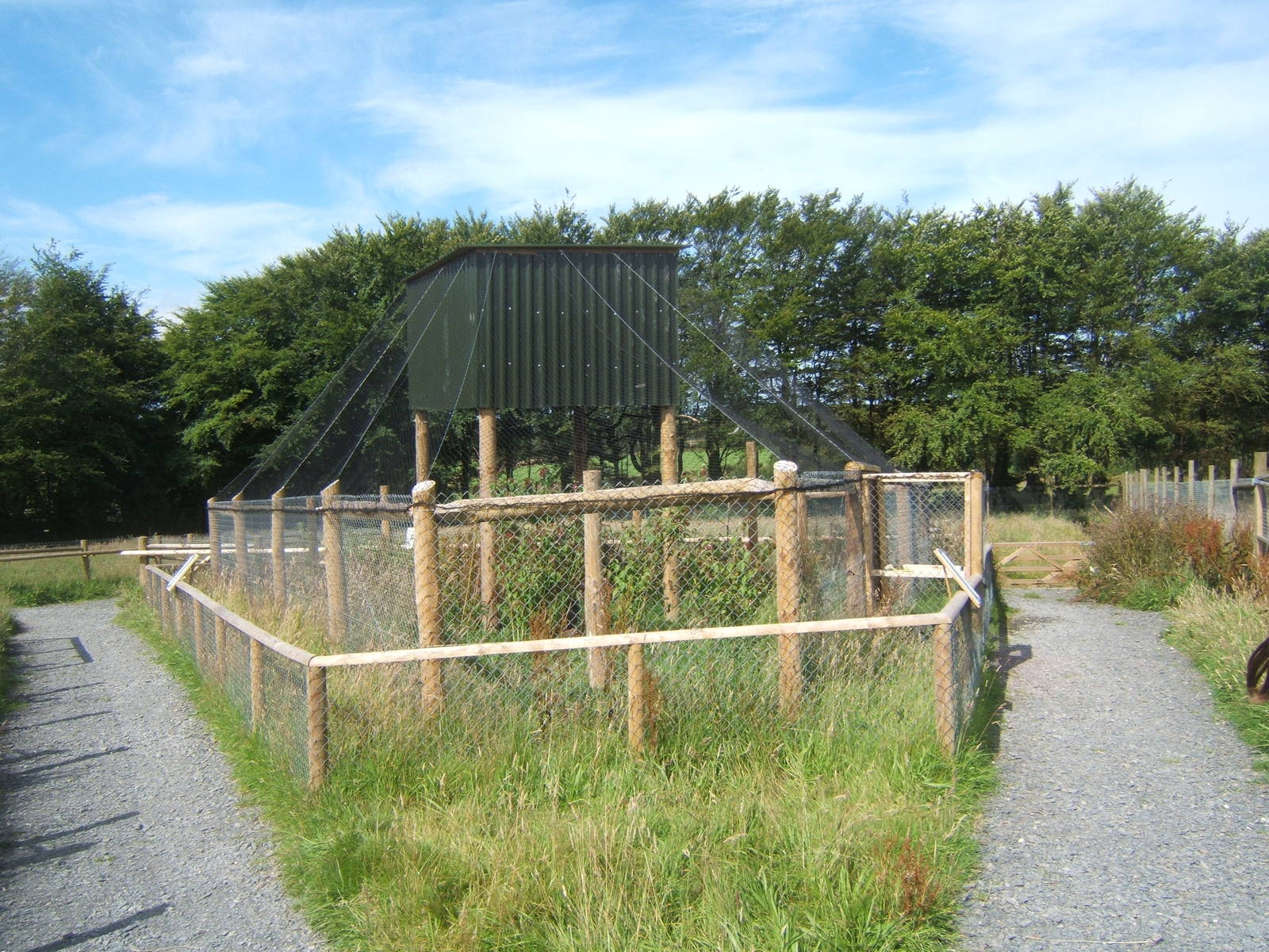 View of new Great Grey Owl aviary