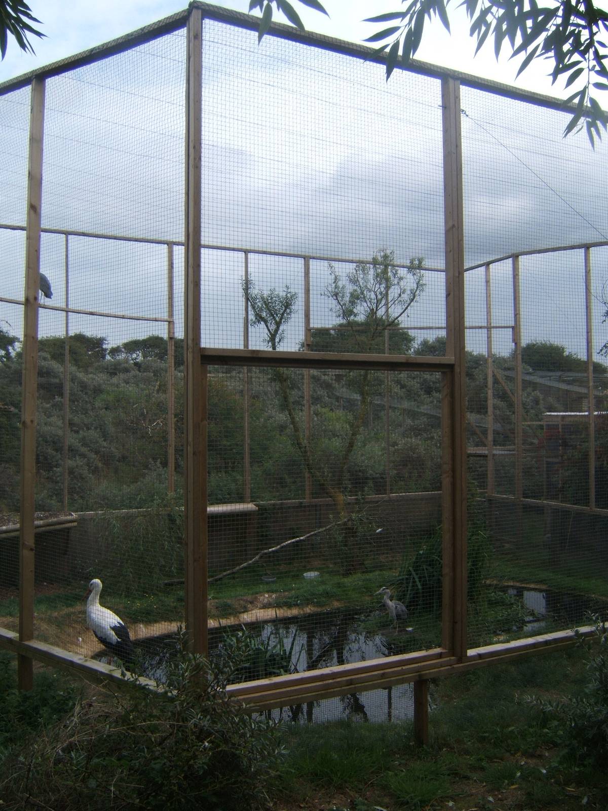 View of new Grey Heron and White Stork Aviary