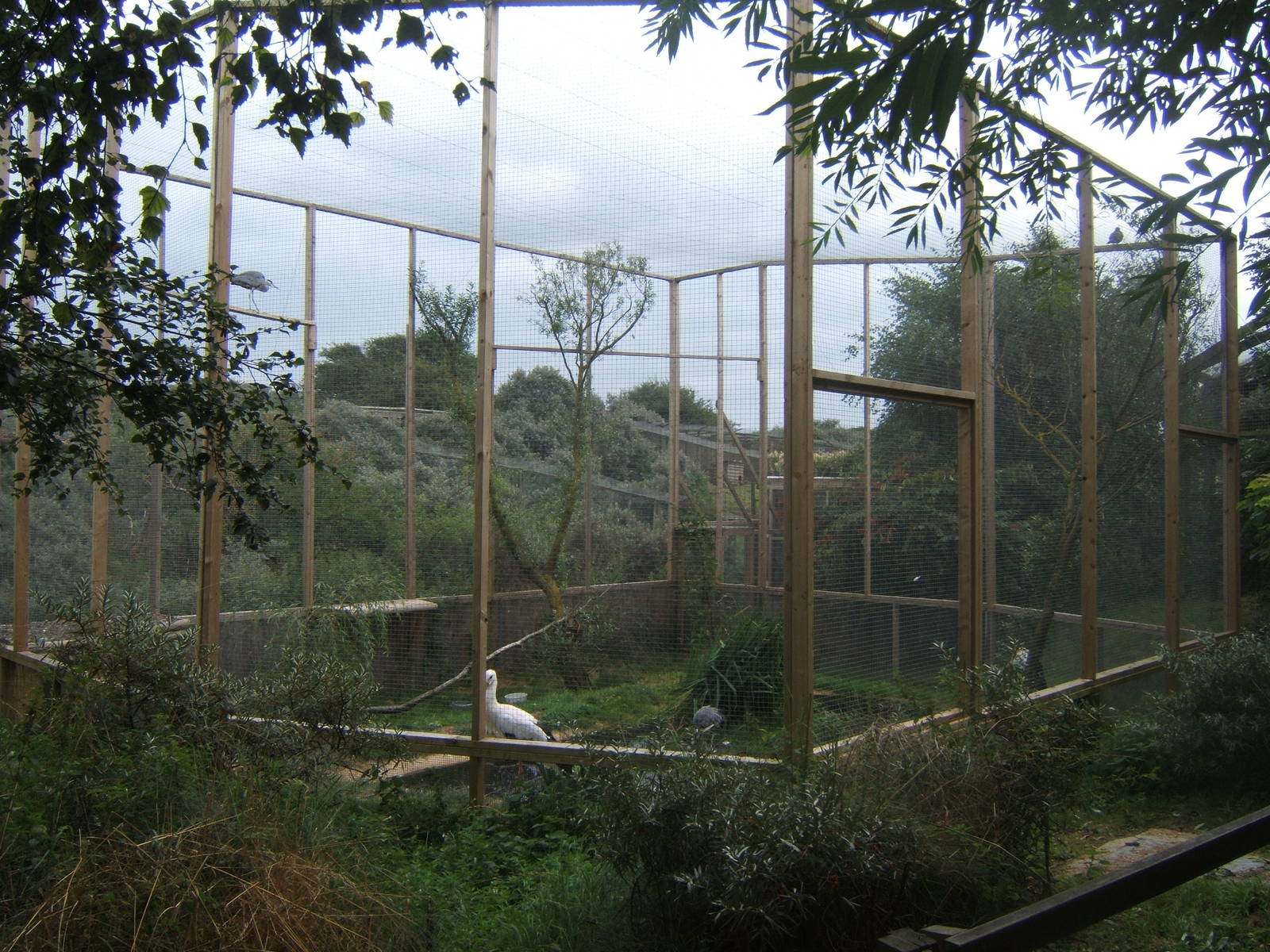 View of new Grey Heron and White Stork Aviary