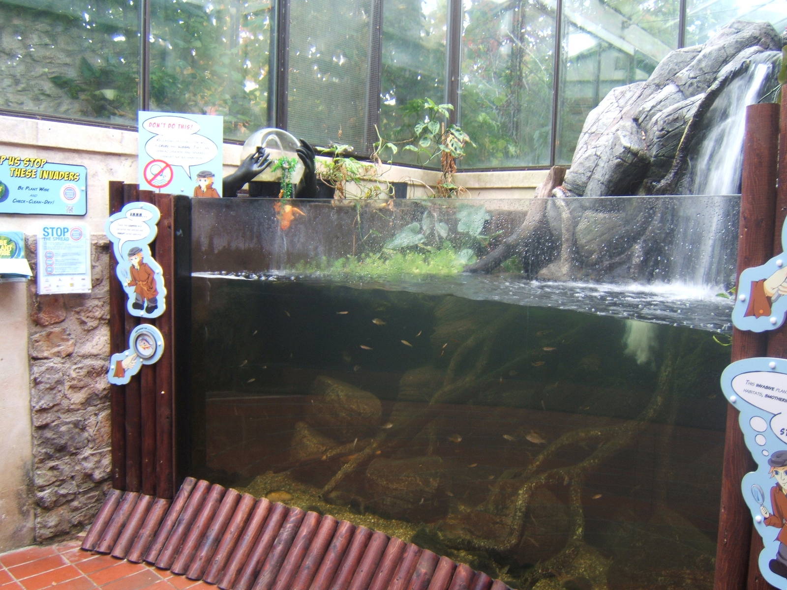 View of new Invasive Species Exhibit in the Aquarium