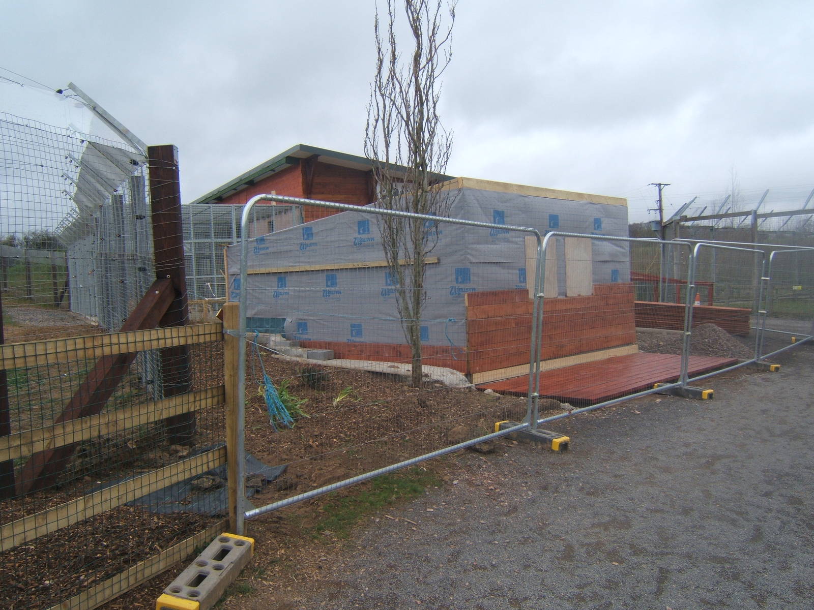 View of new kiosk being built by Bear house