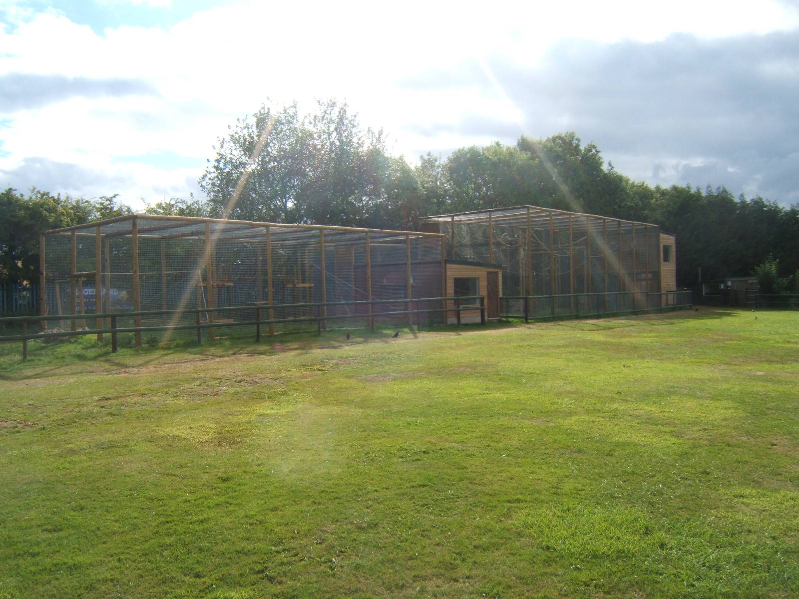 View of new Lemur and Gibbon enclosures
