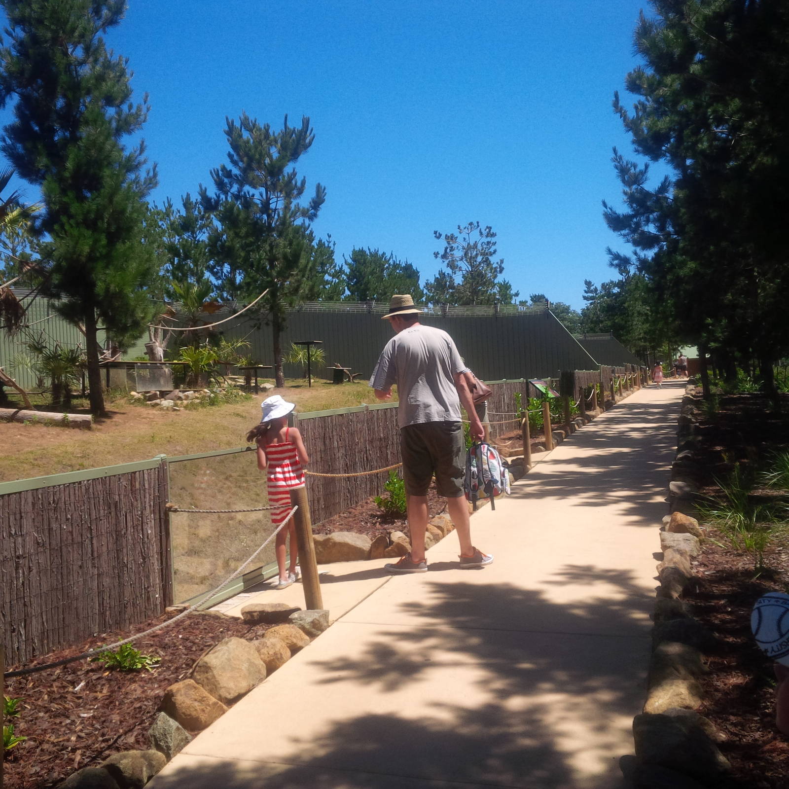 view of new Lemur enclosures