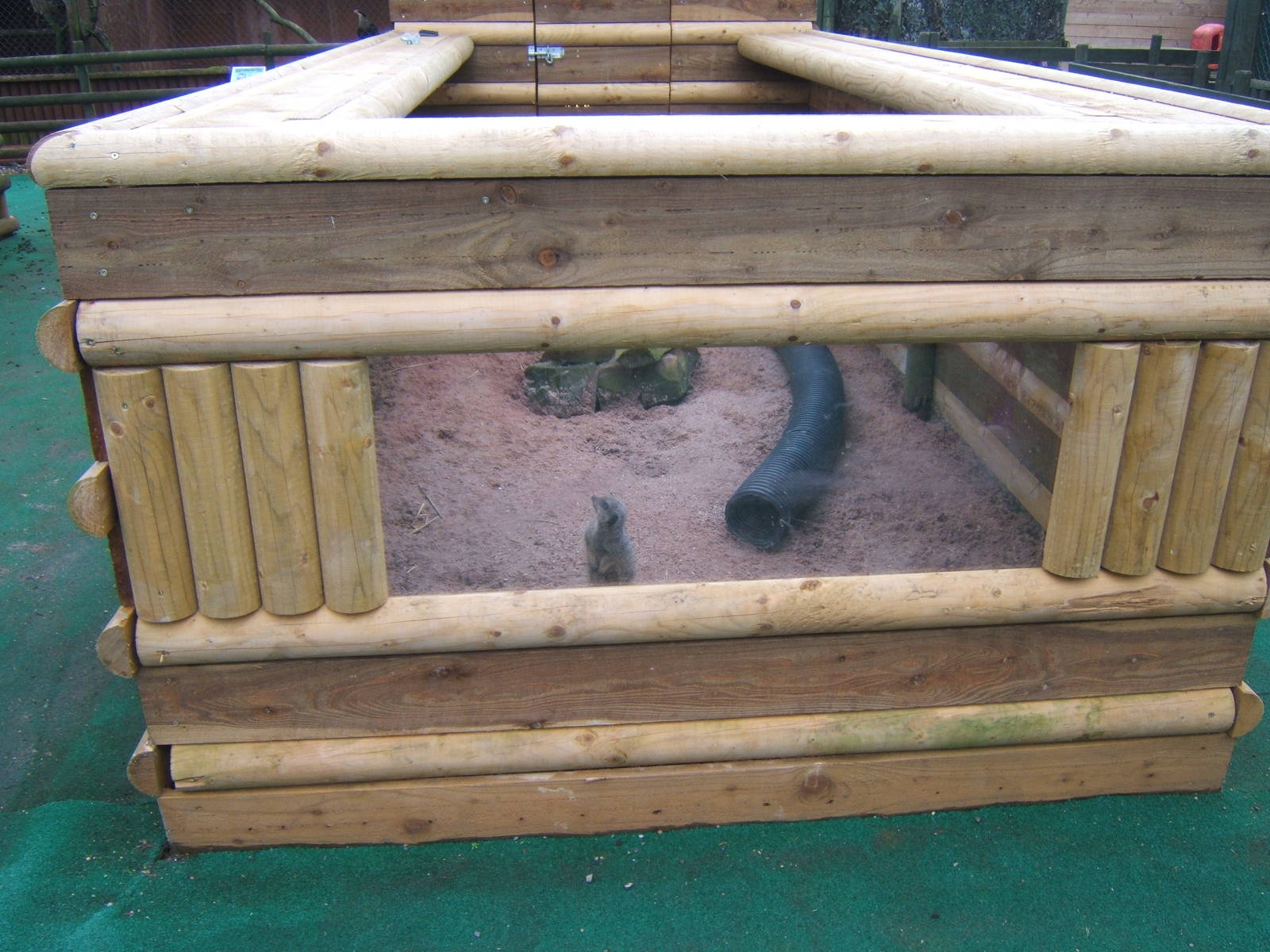 View of new Meerkat enclosure