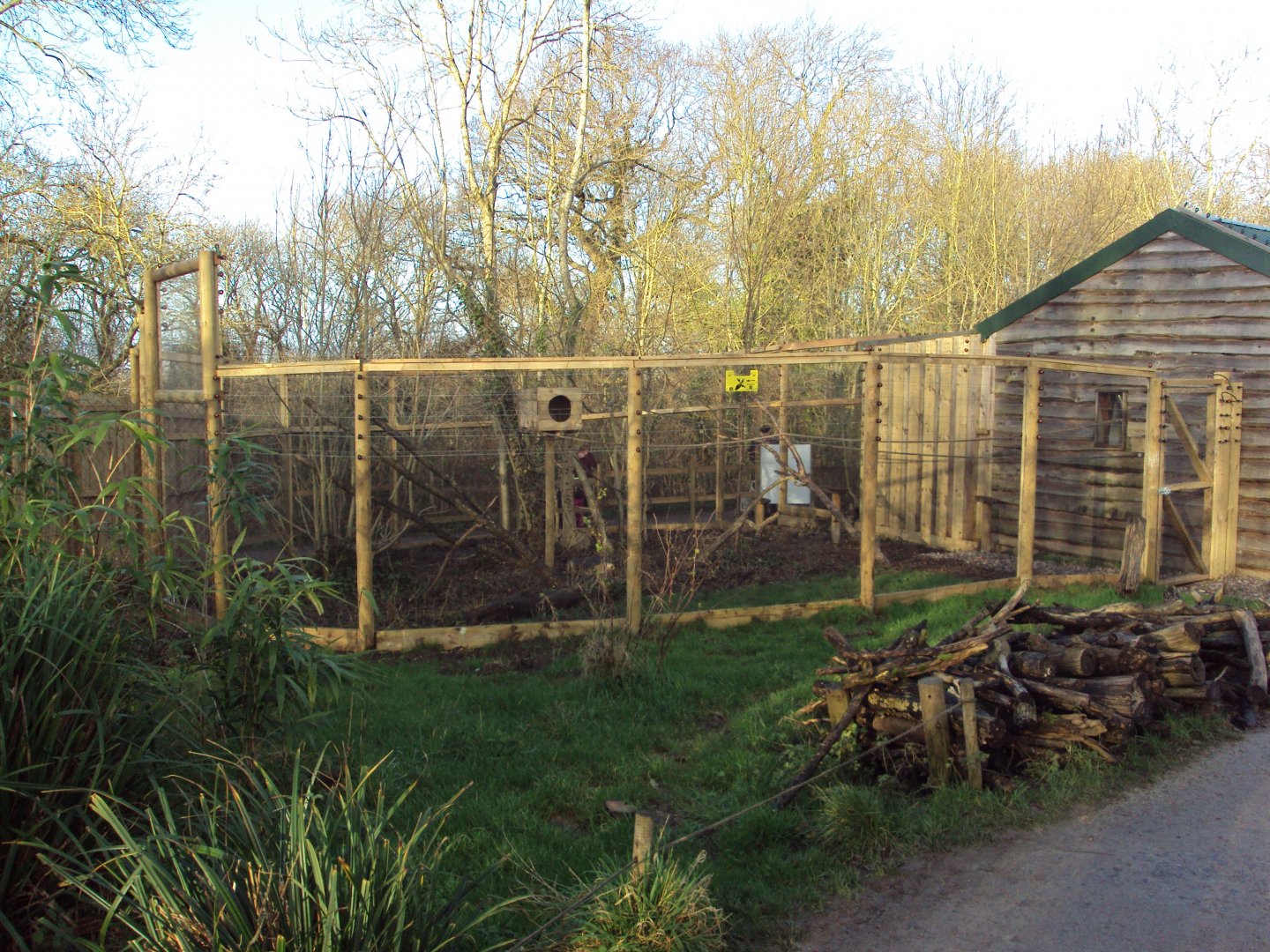 View of new Mongoose Lemur enclosure 03/01/2020