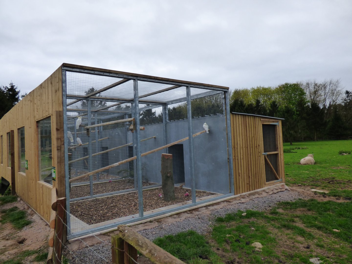 View of new Parrot Aviaries