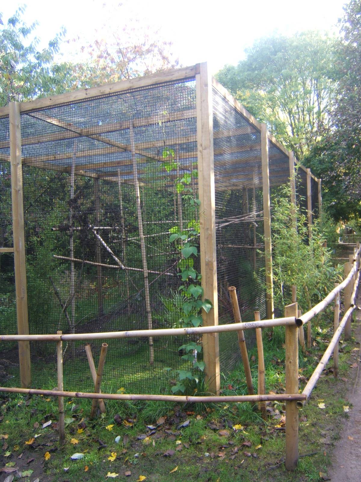 View of new Pheasant Aviary