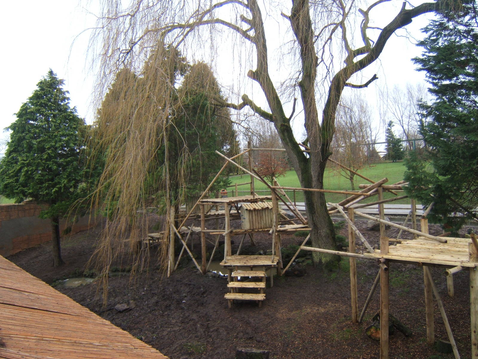View of new Red Panda exhibit