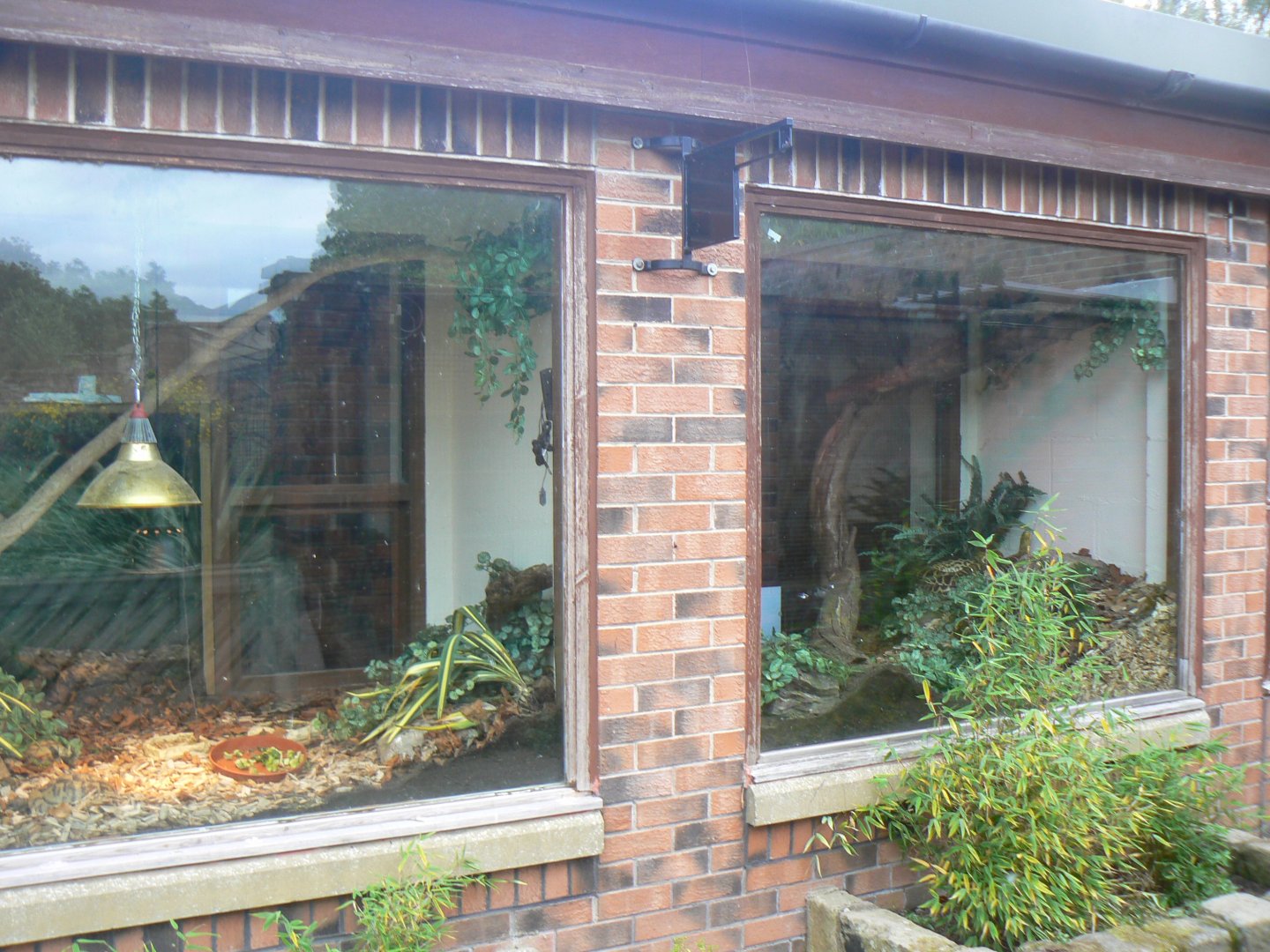 View of New Reptile Exhibits - 26 October 2016