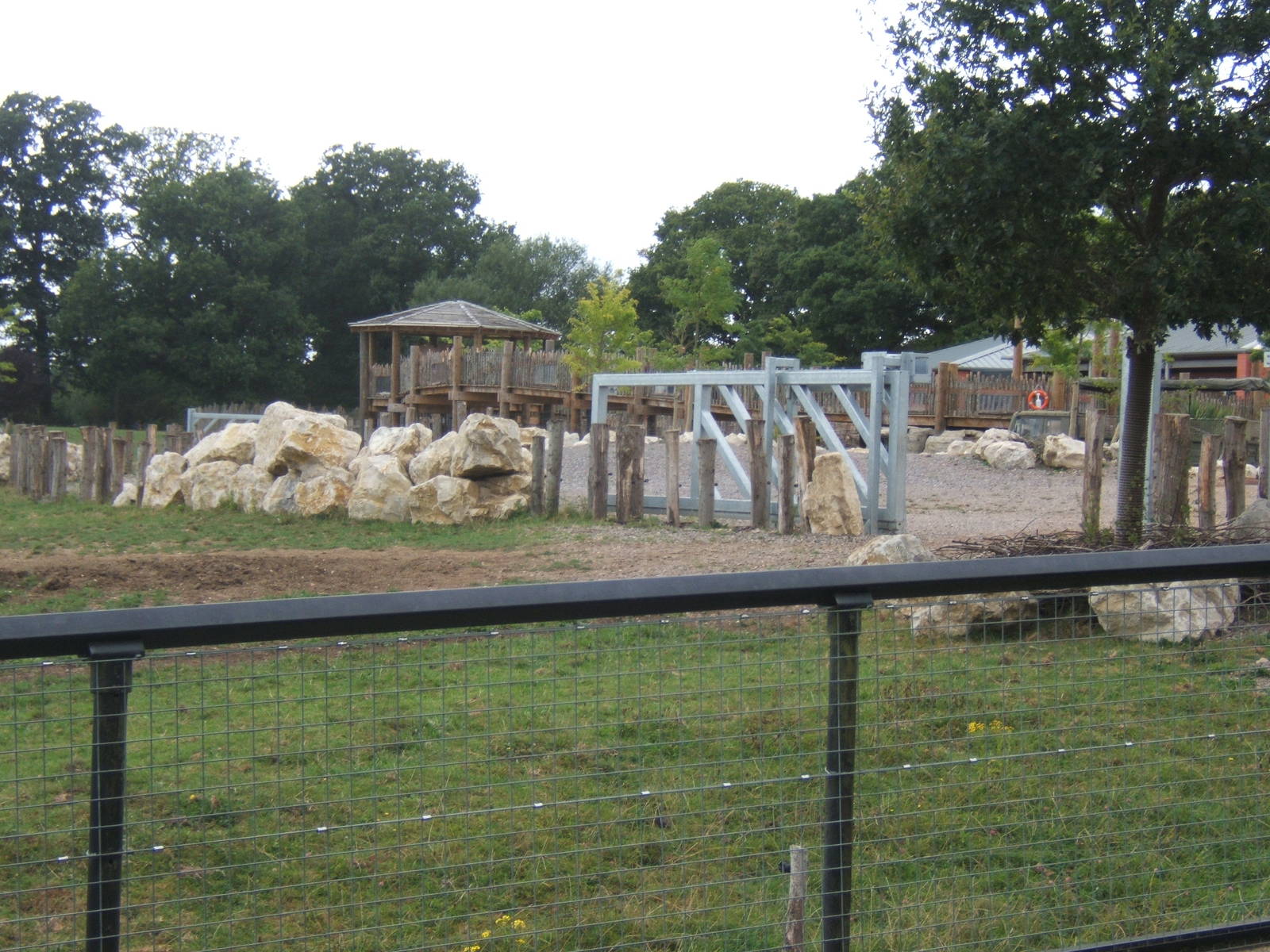 View of new Rhino holding paddock