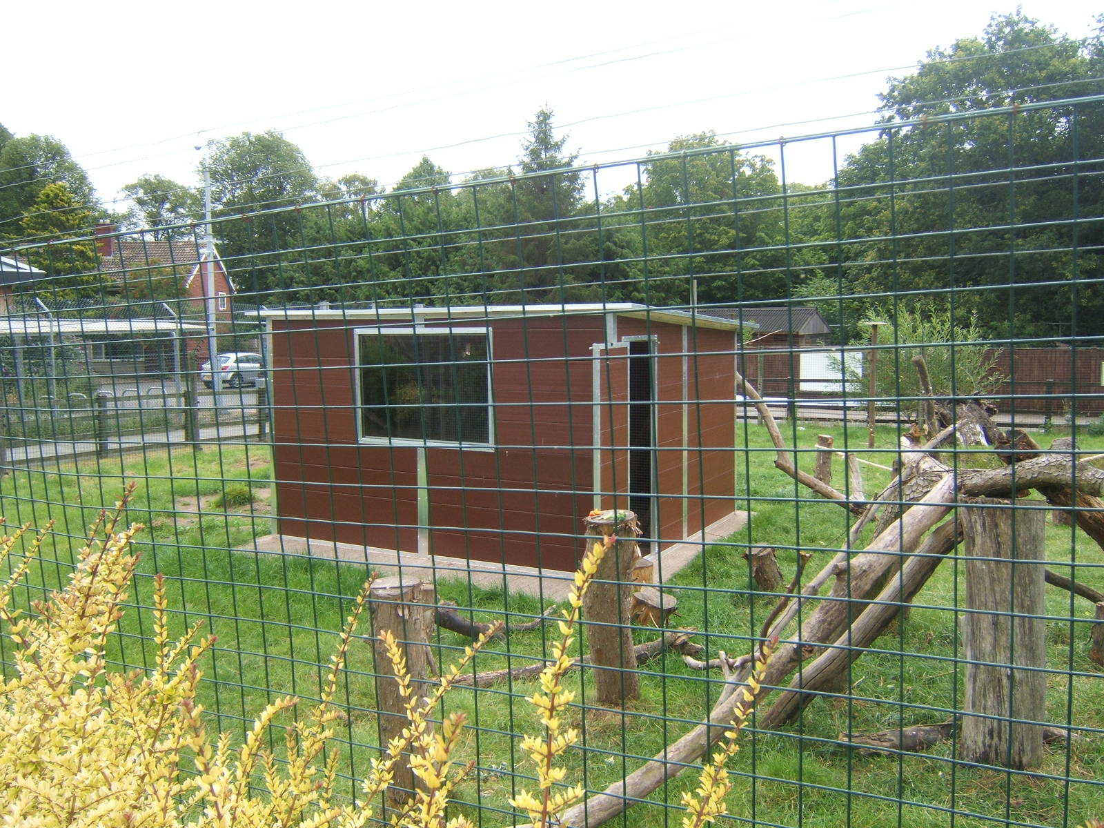 View of new Ring-tailed Lemur House