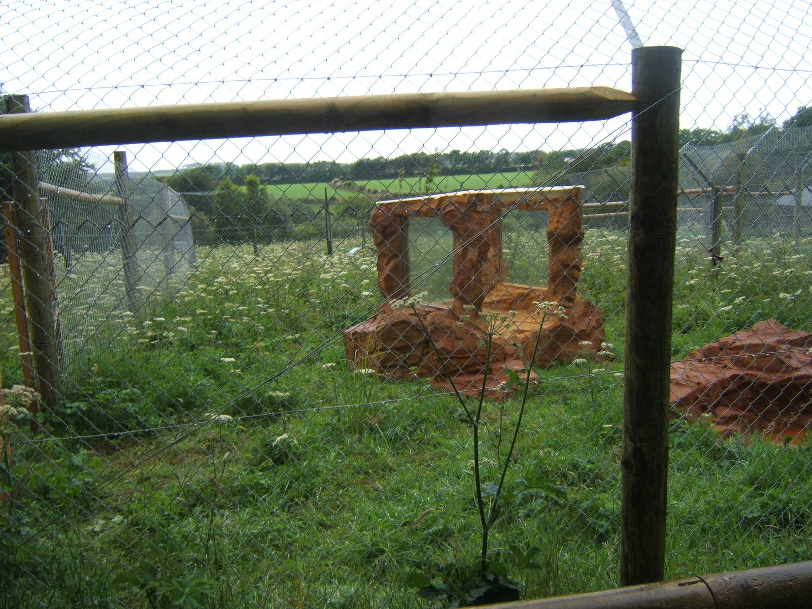 View of new Serval enclosure