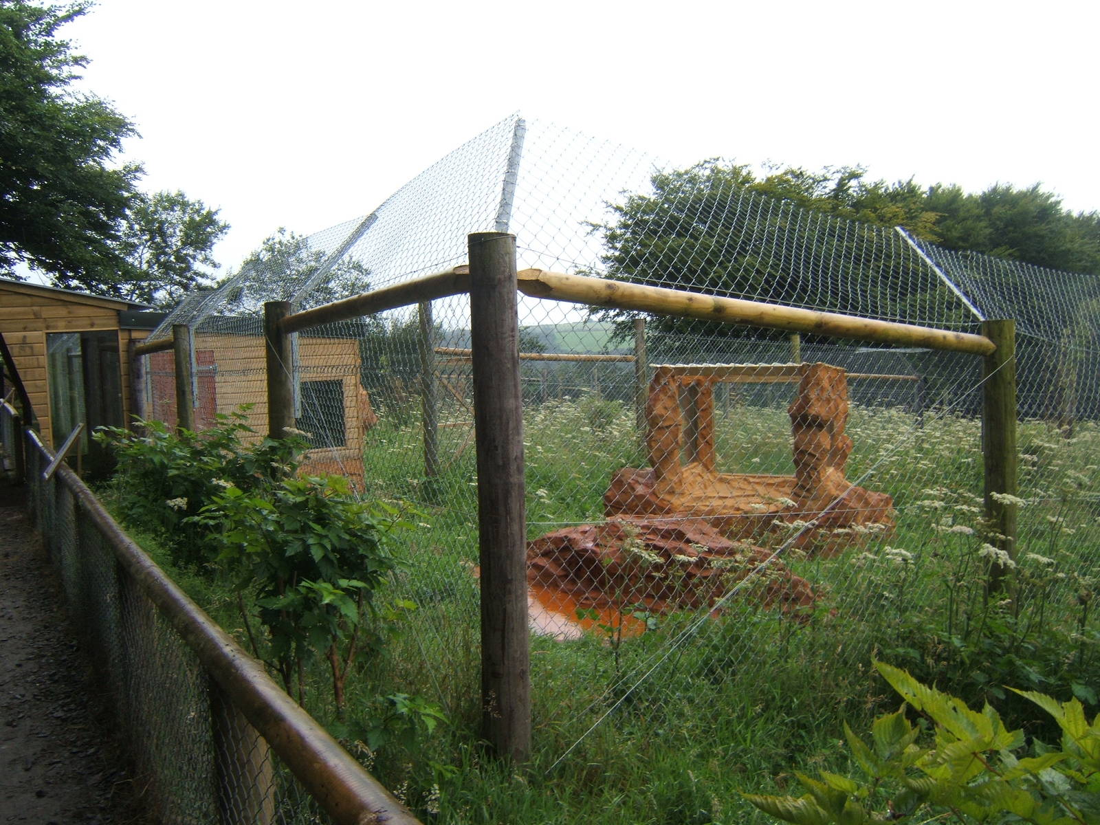View of new Serval enclosure