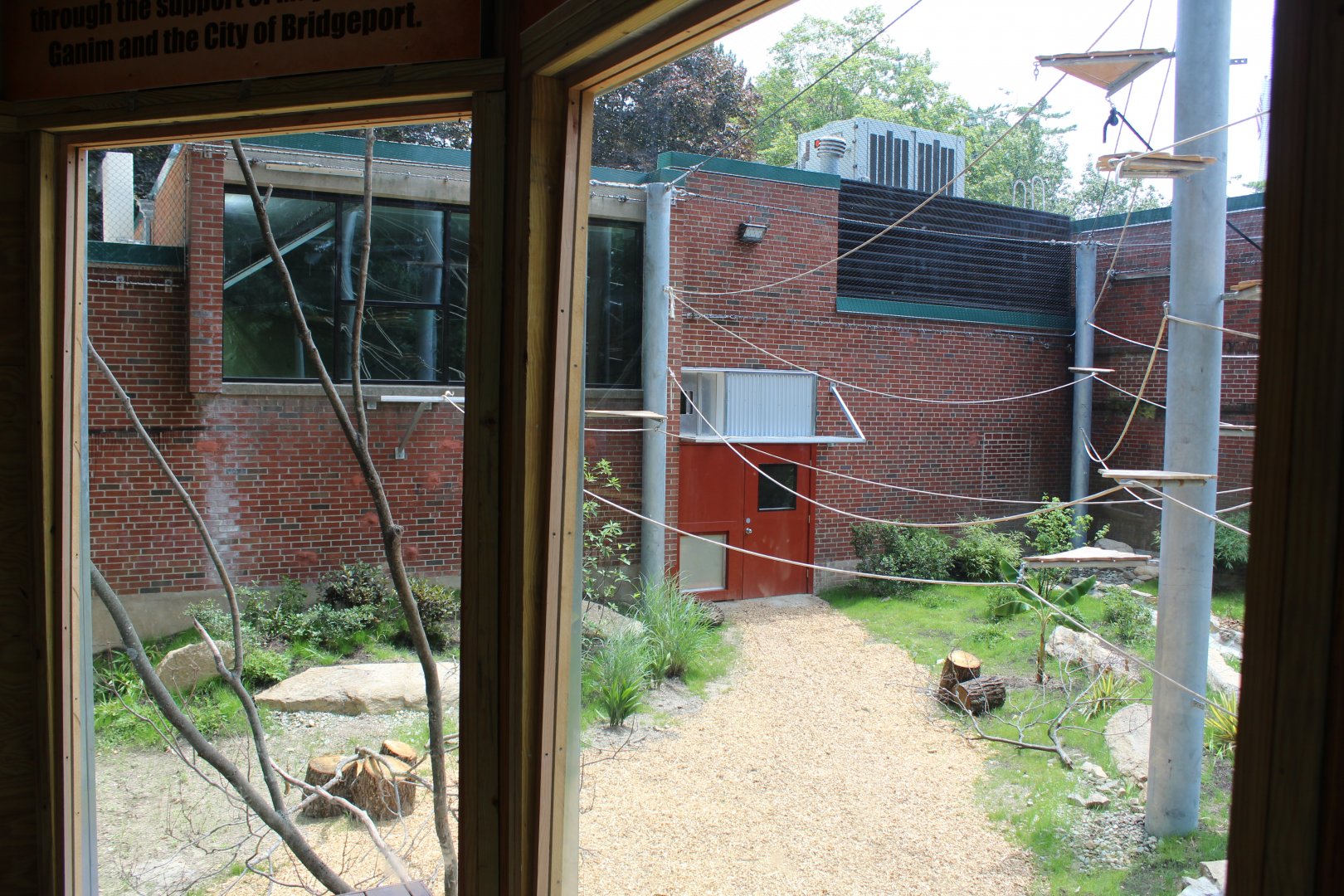 View of New Spider Monkey Enclosure