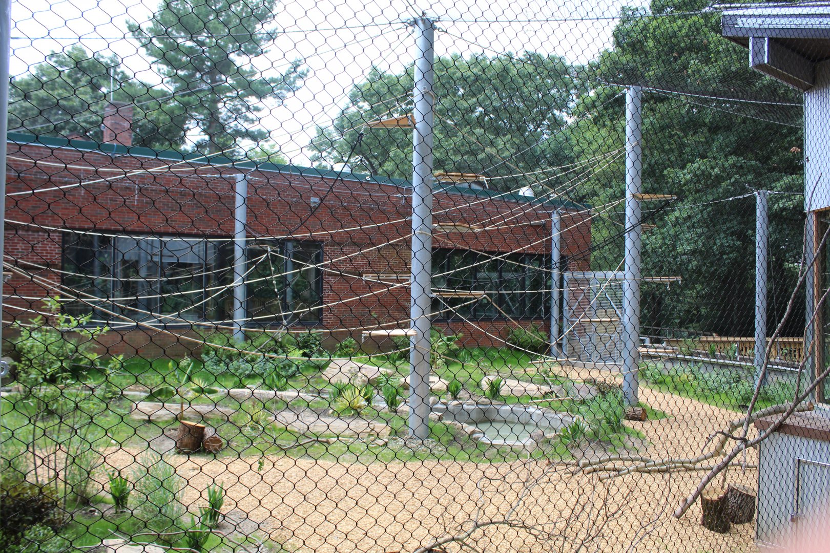 View of New Spider Monkey Enclosure