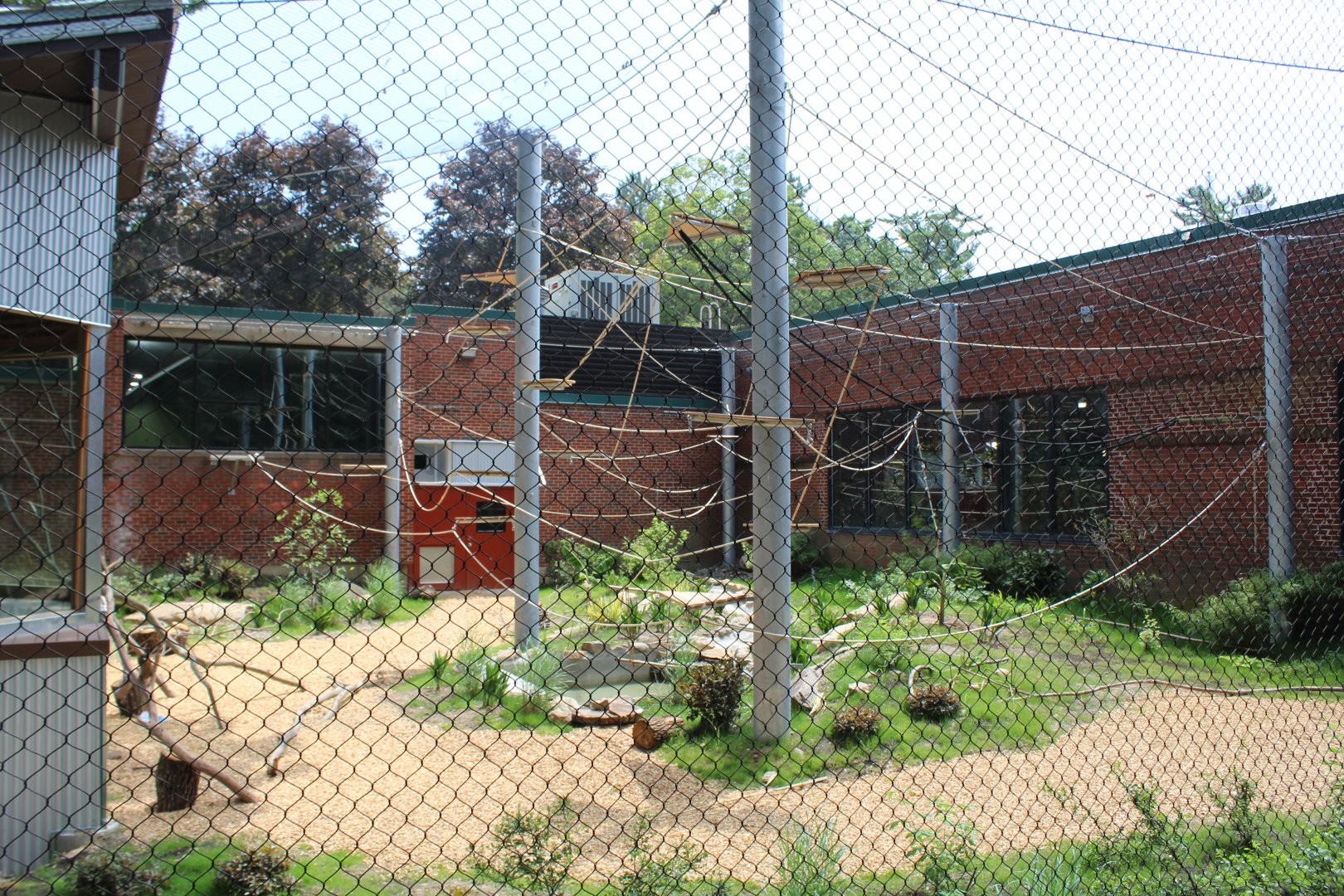View of New Spider Monkey Enclosure