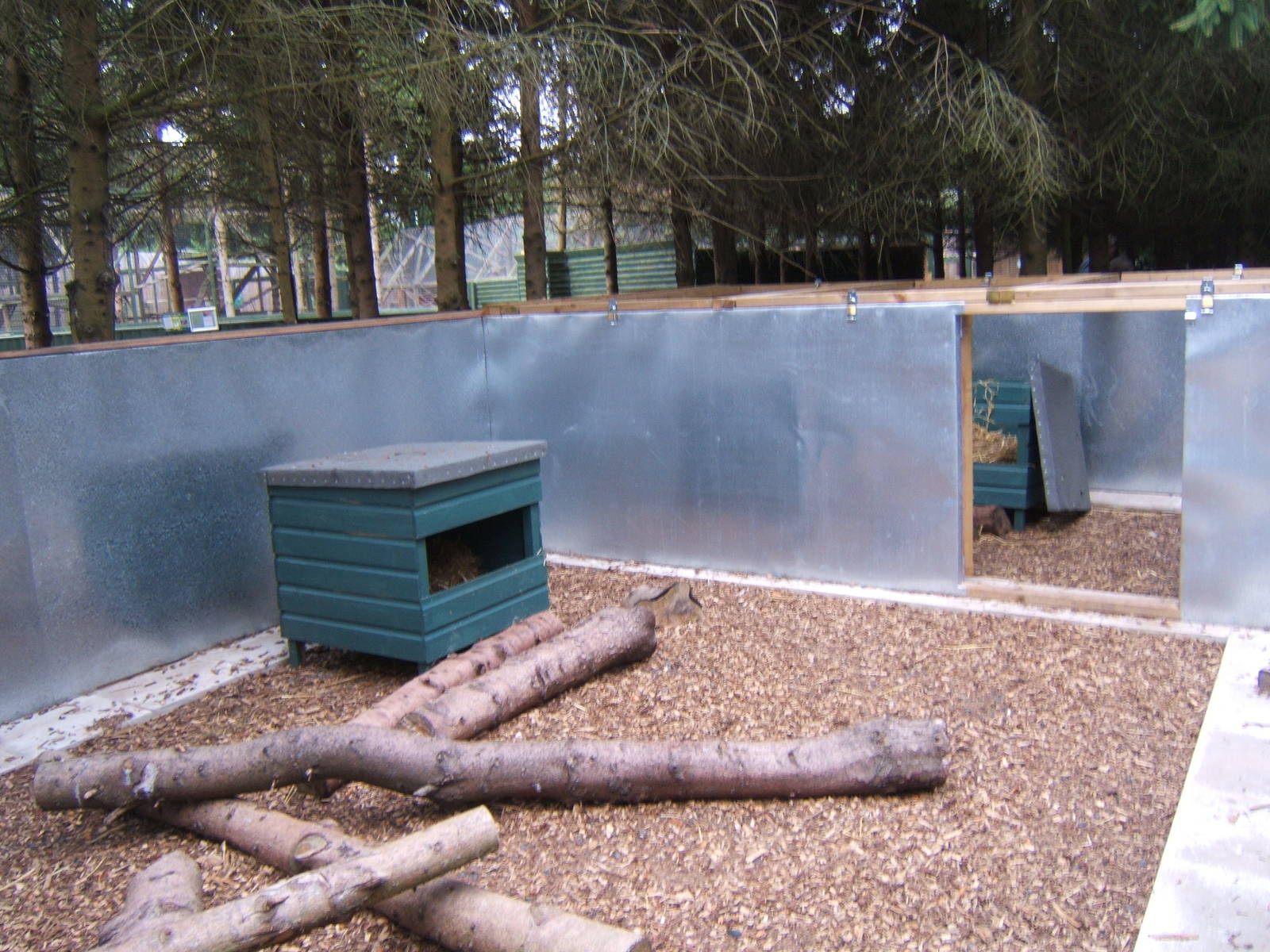 View of new Striped Skunk enclosure