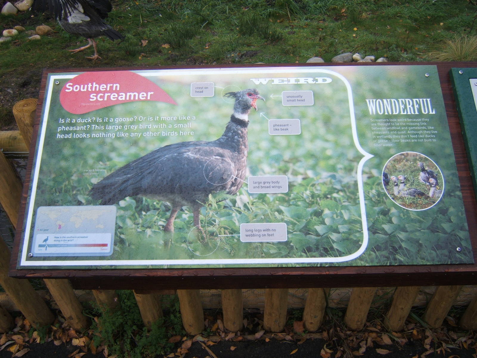 View of new style signage