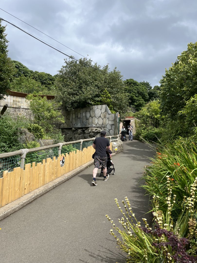 View of new sun bear fencing 18.7.24