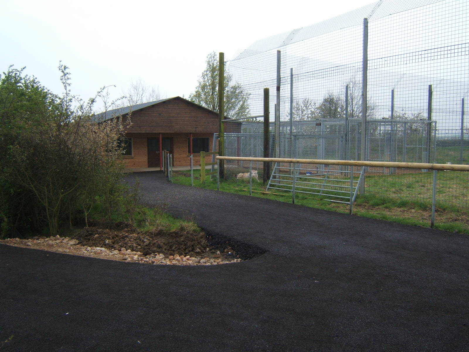 View of new Tiger House and White Tiger enclosure