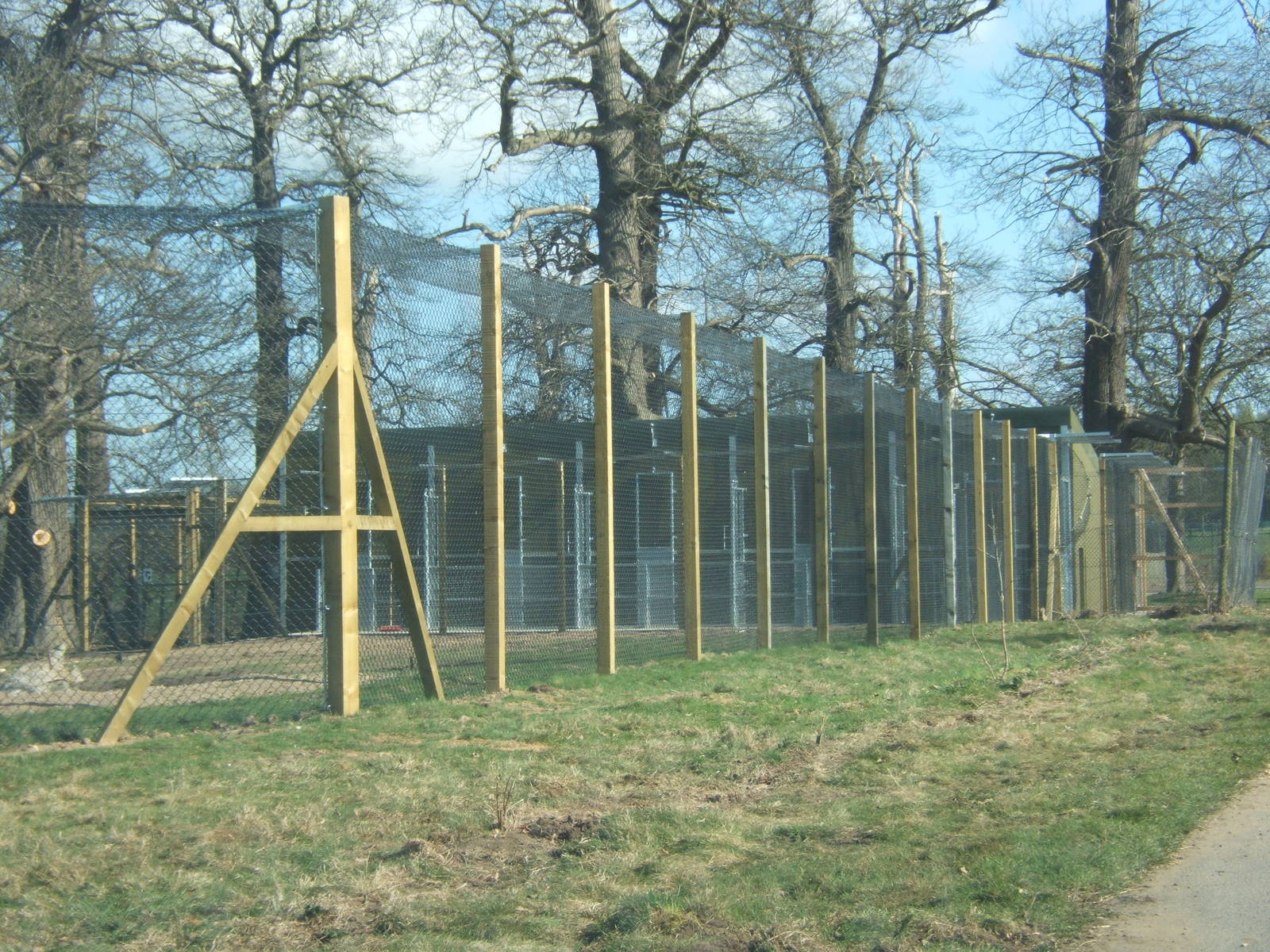 View of new Tiger House