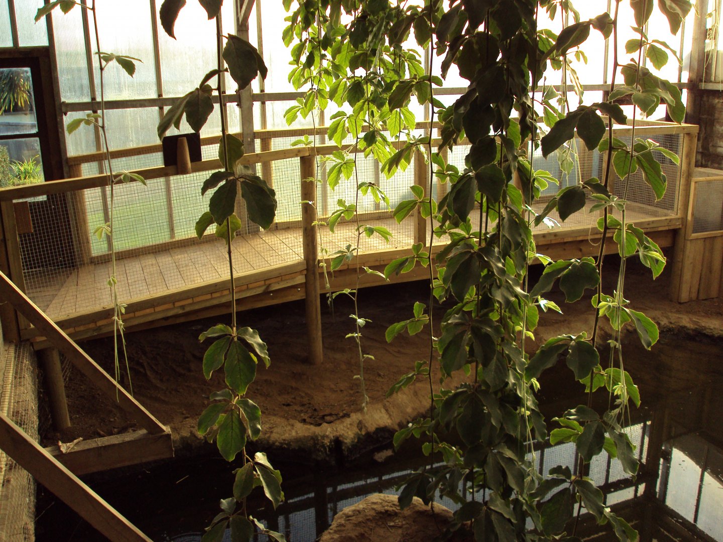 View of new viewing platform for Mugger 27/10/2019