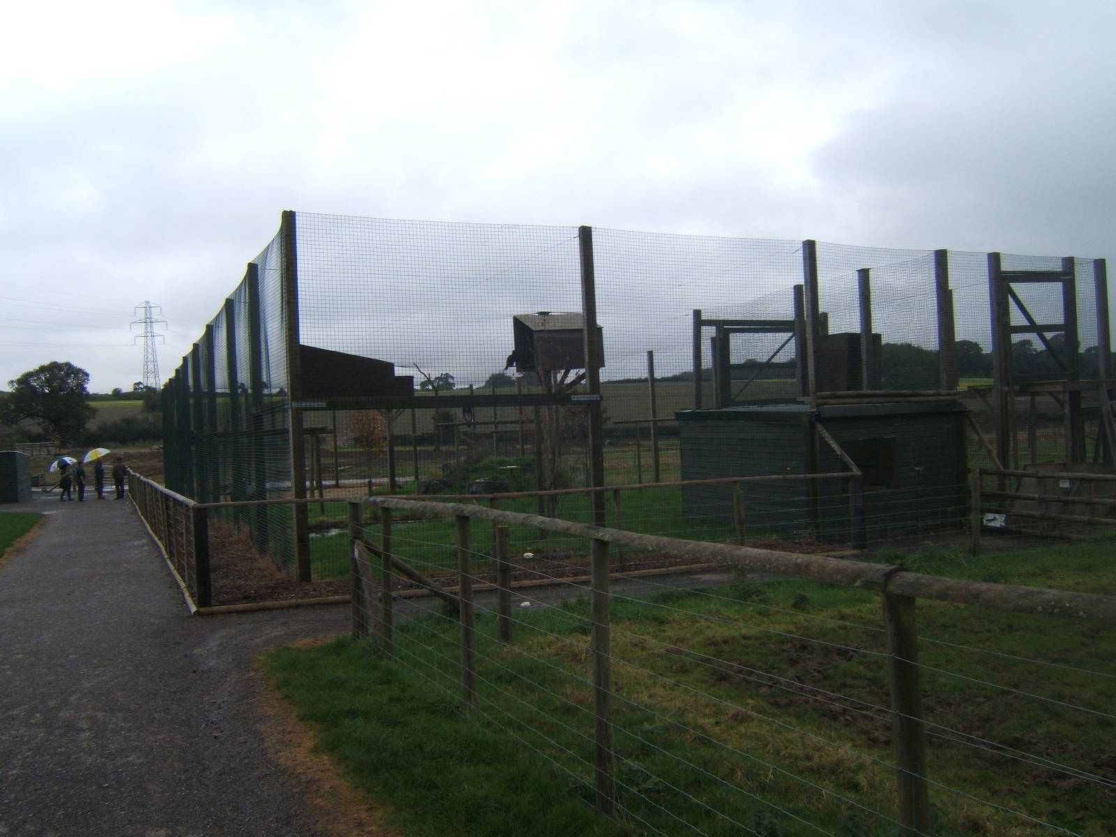 View of new Vulture Aviary
