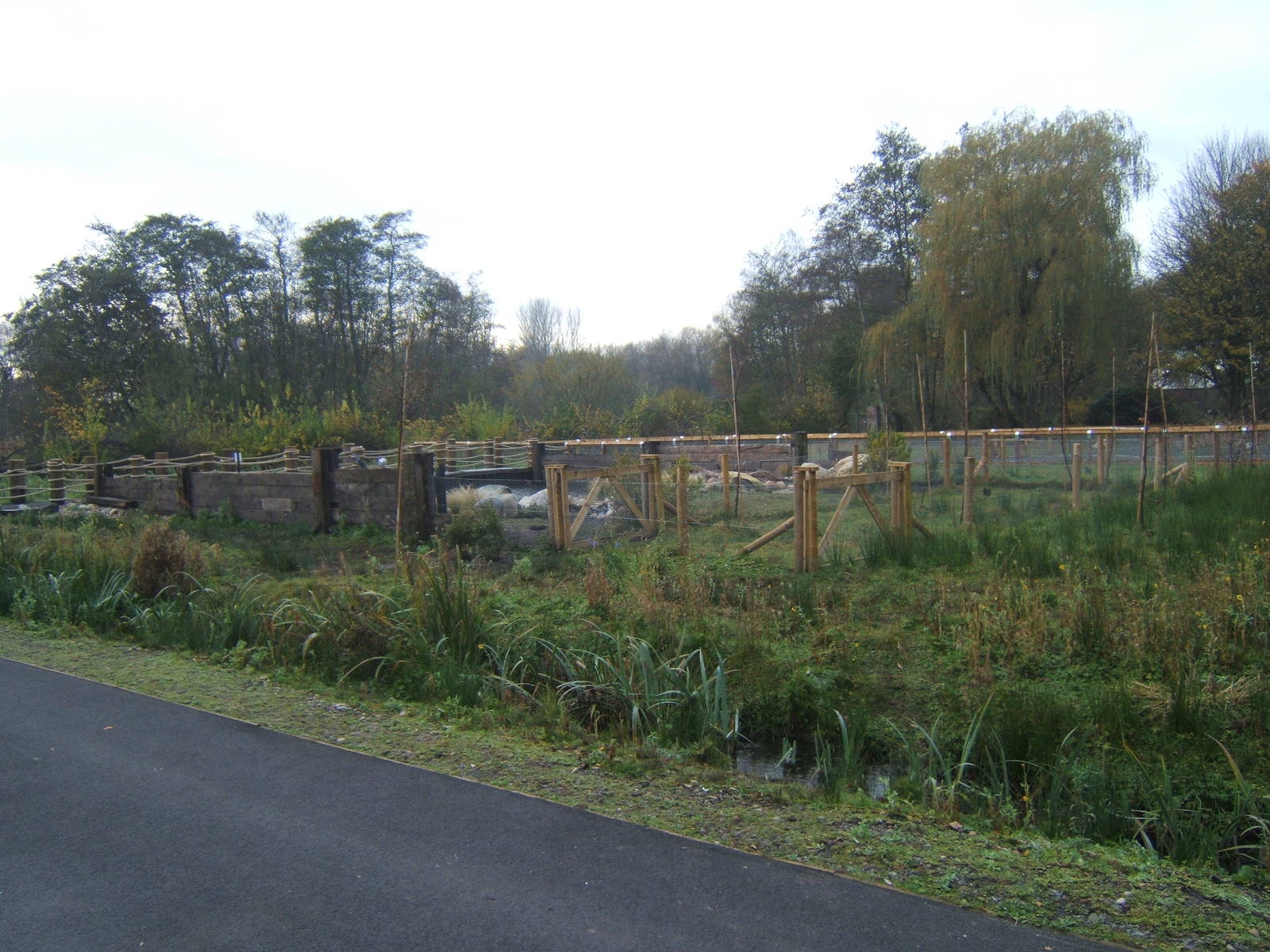 View of new waterfowl pens in the Weird and Wonderfull zone