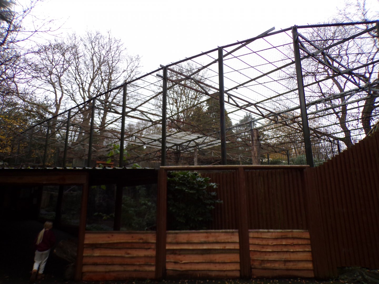 View of newly occupied Egyptian vulture enclosure 19.11.23