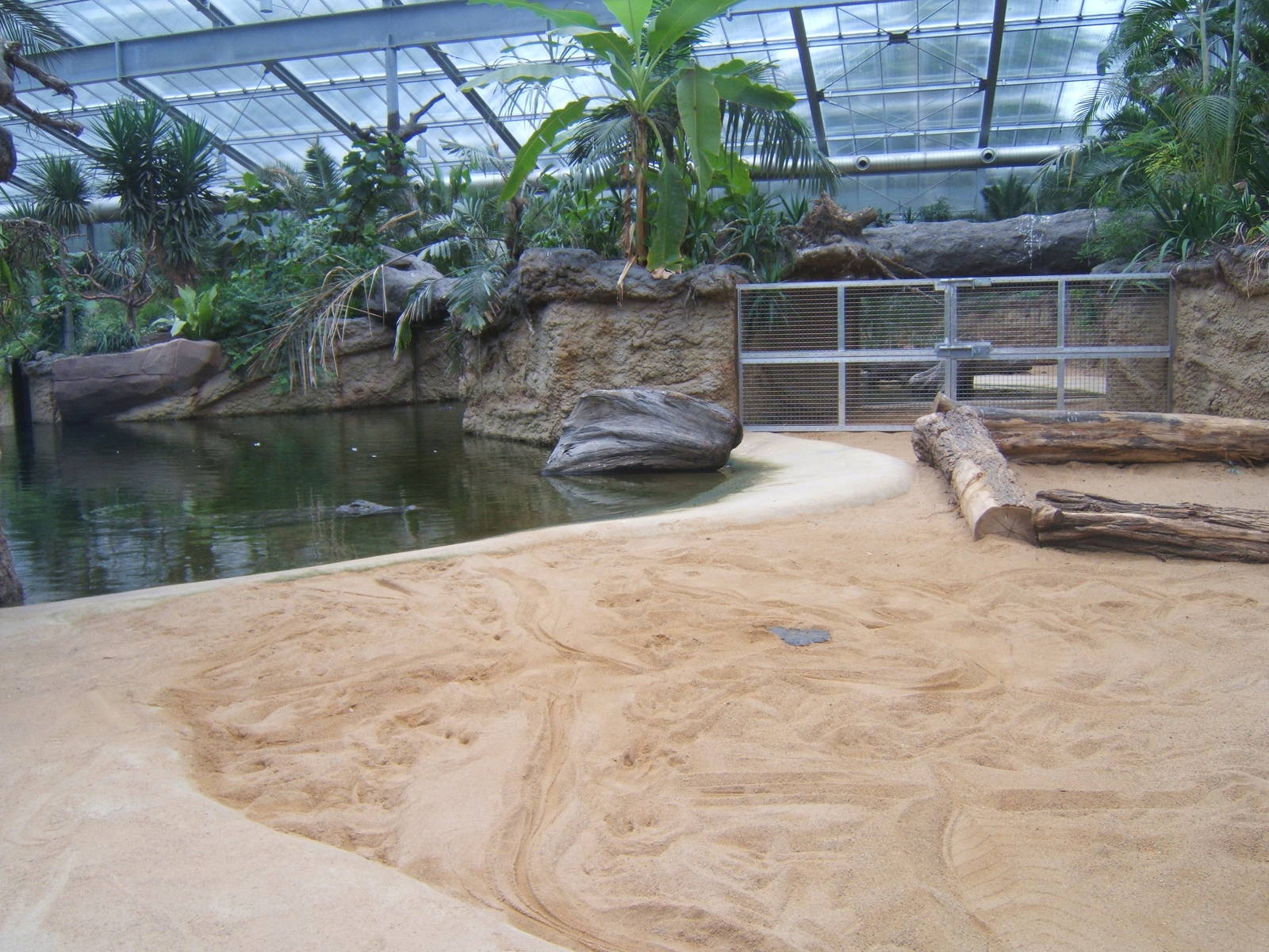 View of Nile Crocodile enclosure