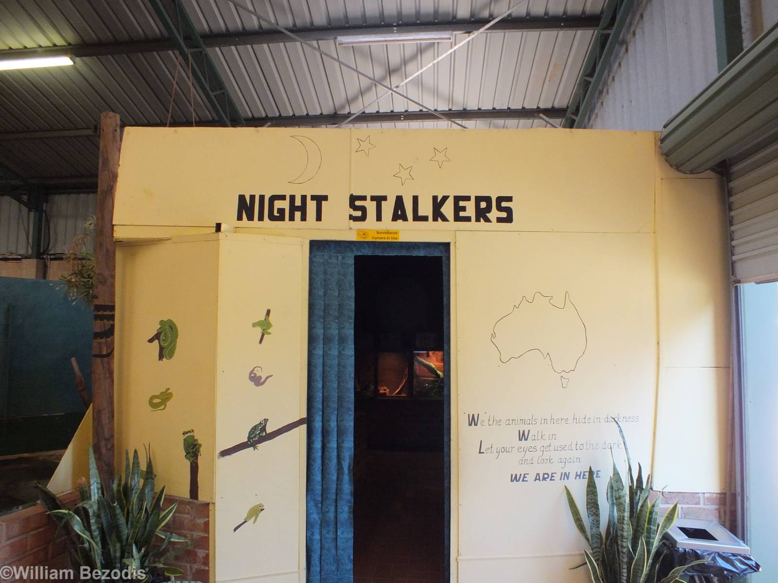 View of Nocturnal Area