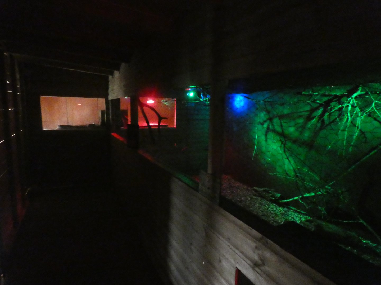 View of Nocturnal House