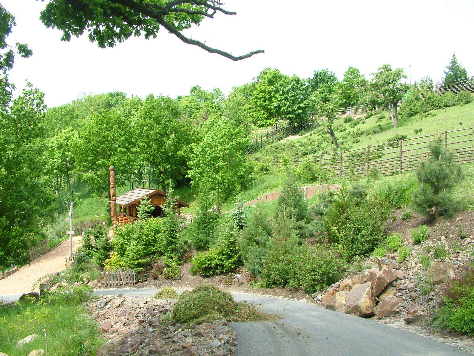 View of North American area at Plzen, 25/05/10