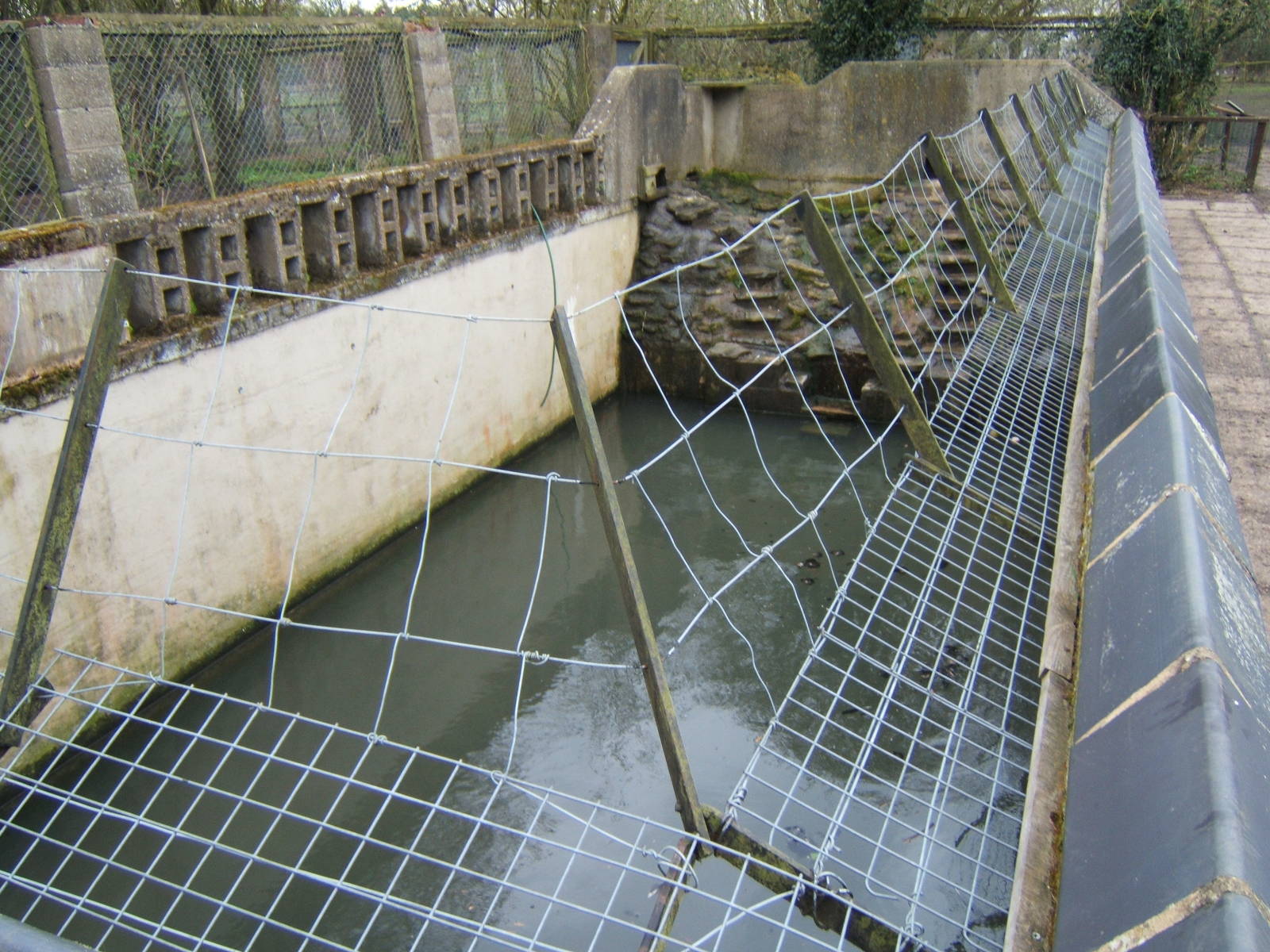 View of North American River Otter pool