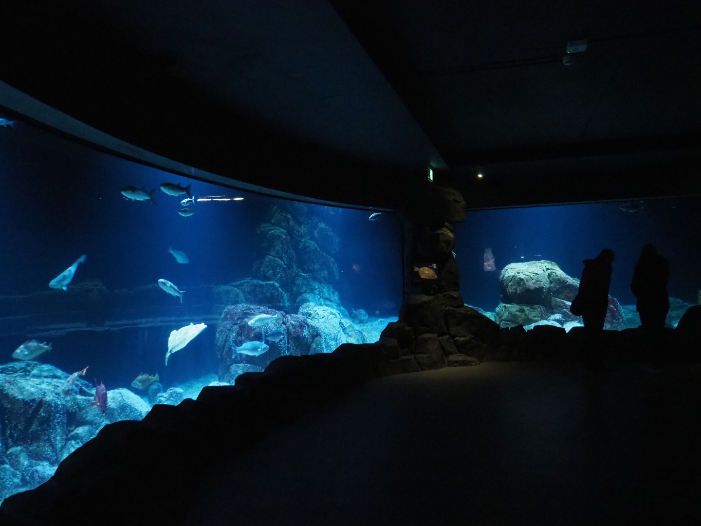 View of North Sea tanks (Nov 10th, 2018)