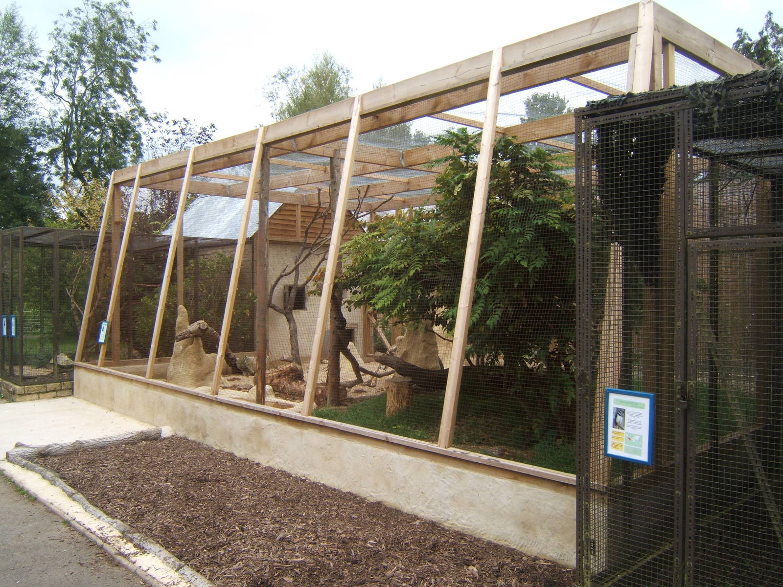 View of Northern Ground Hornbill avary