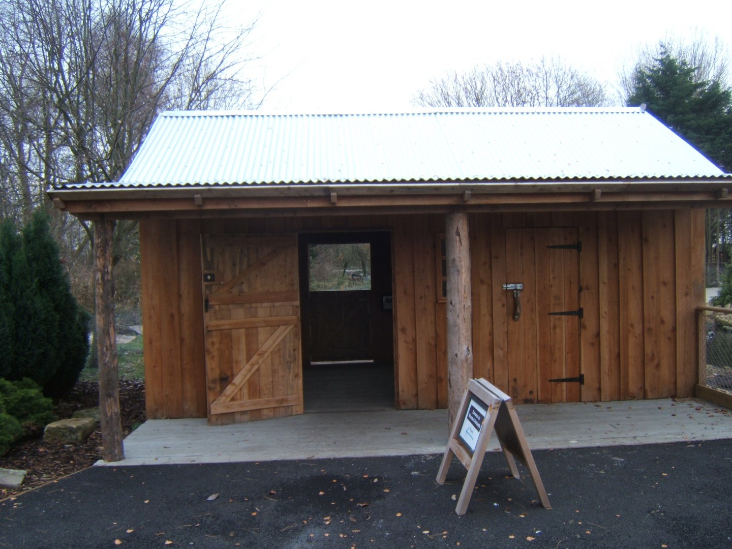View of Northern swamps and forest exhibit