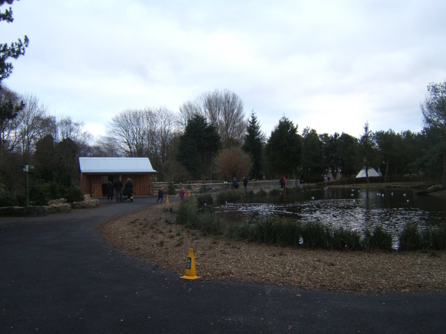 View of Northern swamps and forest exhibit
