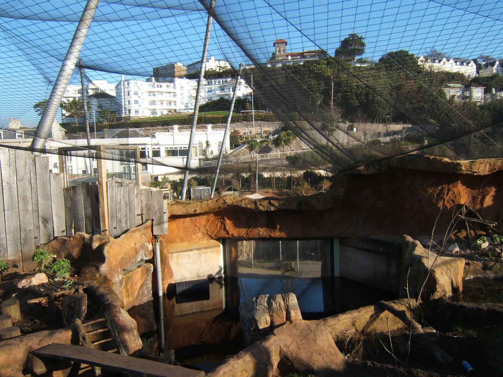 View of now netted over Otter exhibit