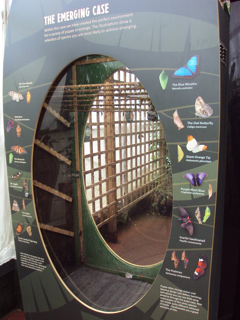 View of nursery rearing room 28/05/2019