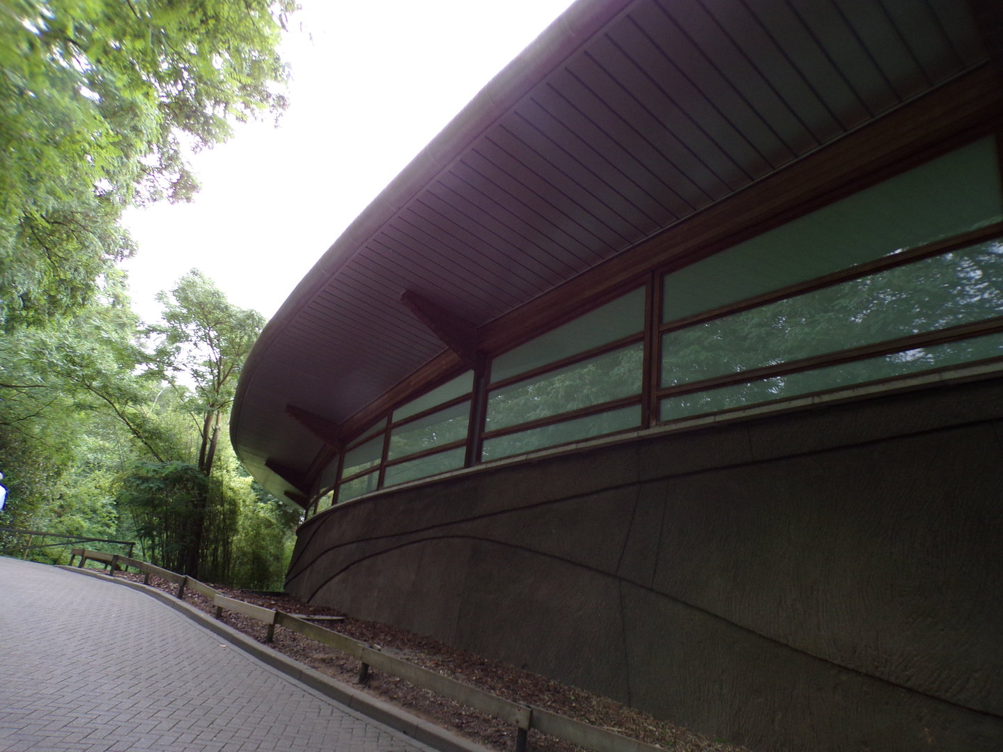 View of Ocean from outside 6.7.23