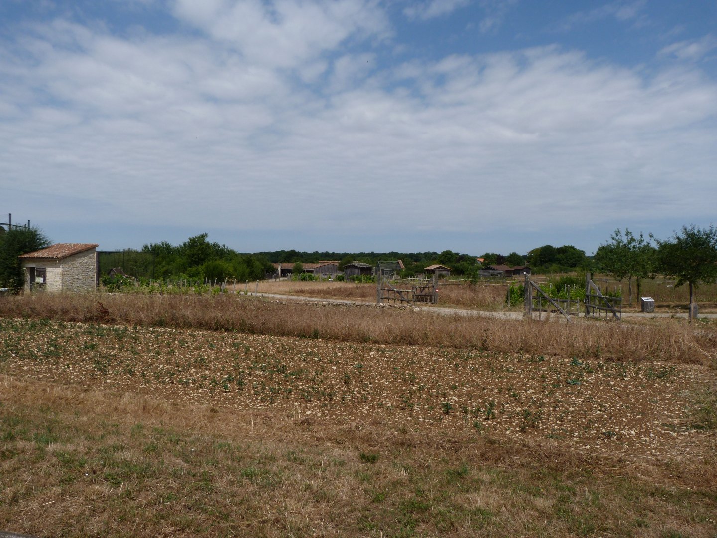 View of "Odyssée des Campagnes" -Zoodyssée (2025)