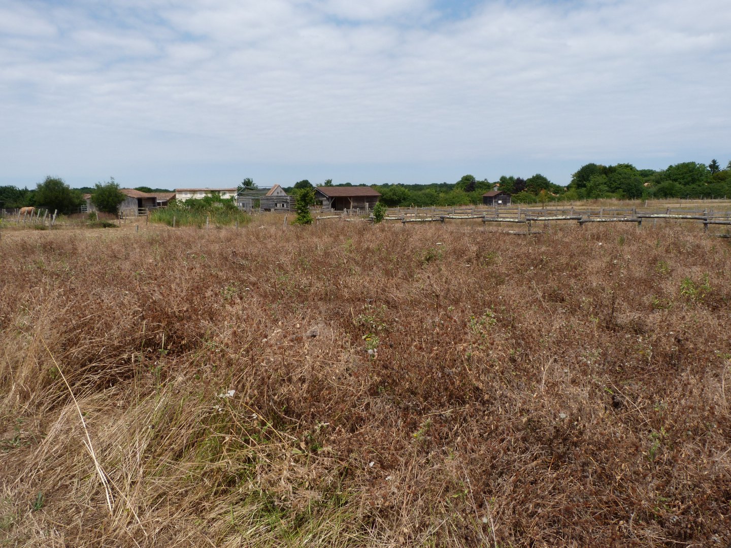 View of "Odyssée des Campagnes" -Zoodyssée (2025)