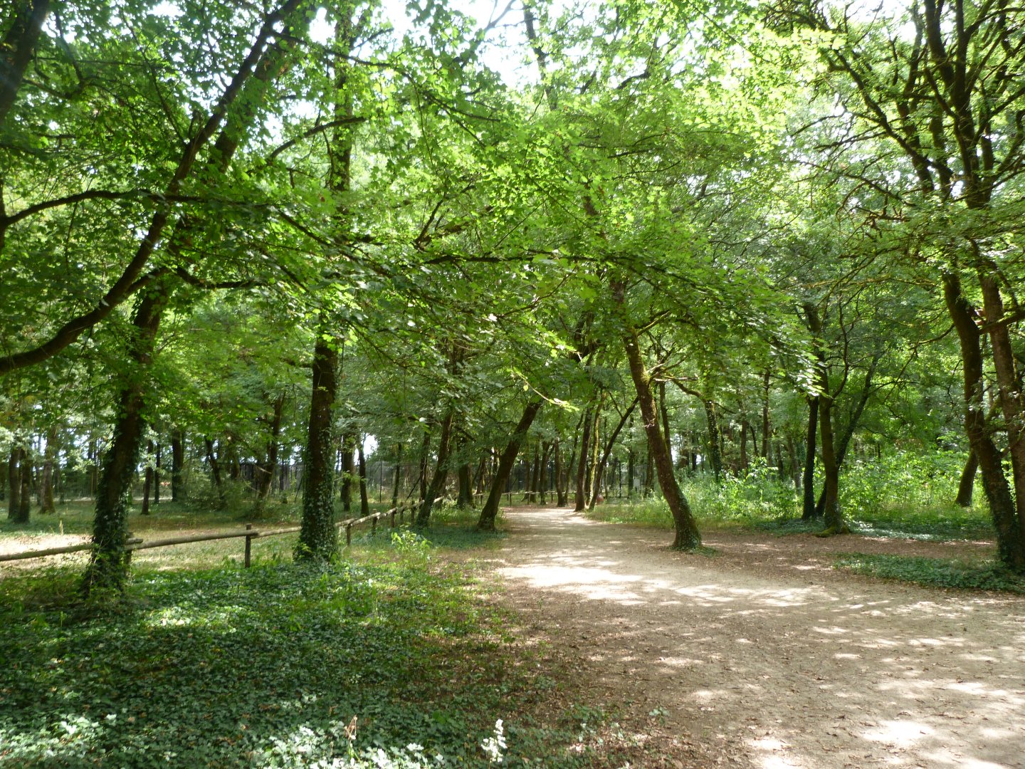 View of "Odyssée des Forêts" -Zoodyssée (2025)