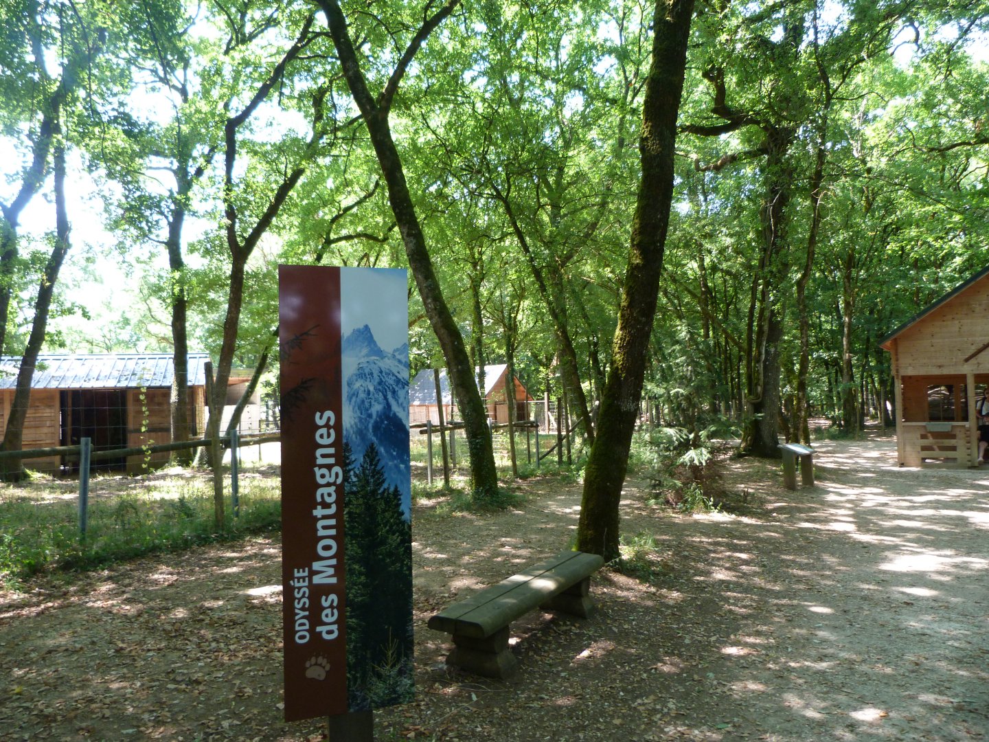 View of "Odyssée des Montagnes" -Zoodyssée (2025)