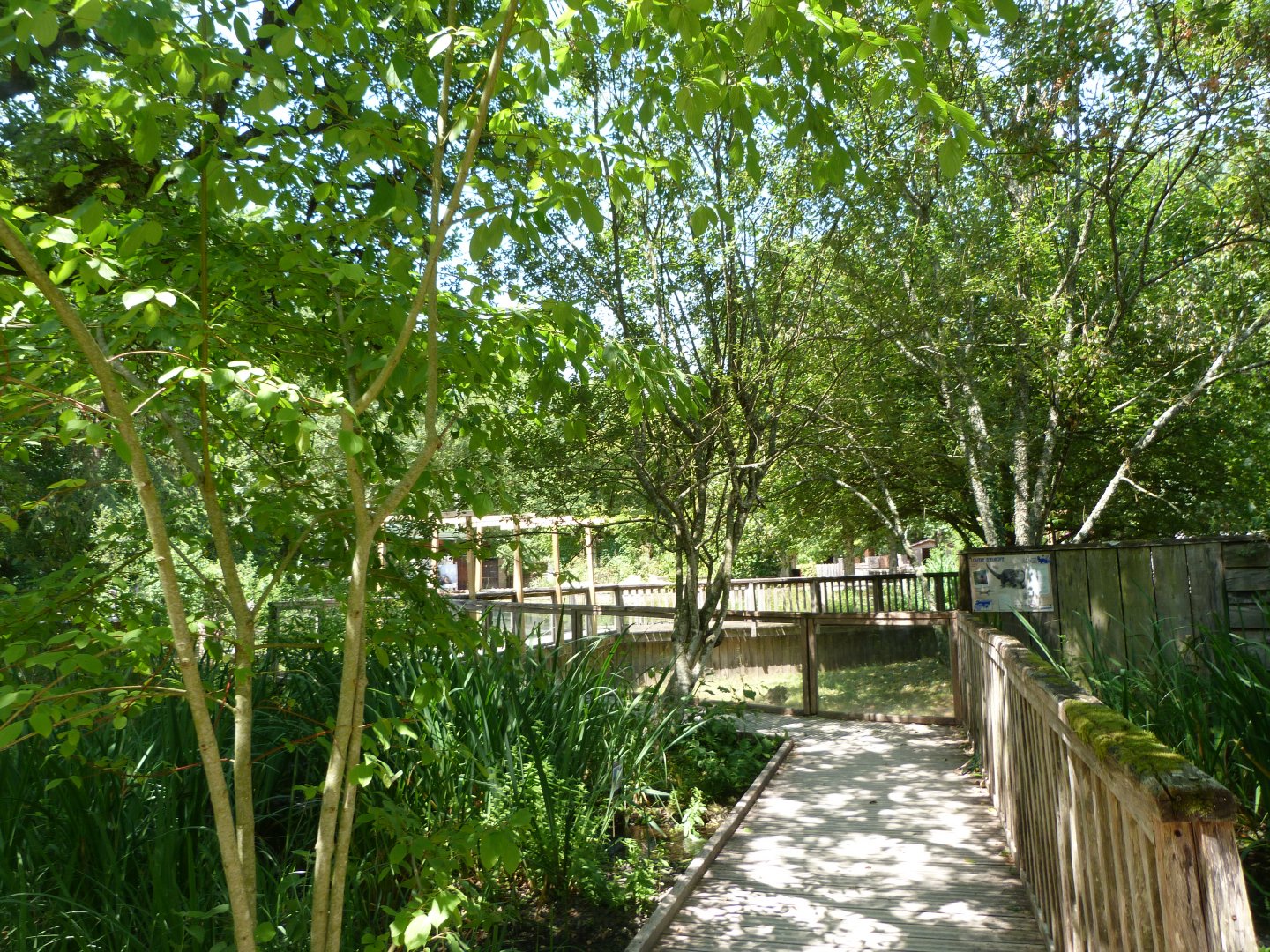 View of "Odyssée des Zones Humides" -Zoodyssée (2025)