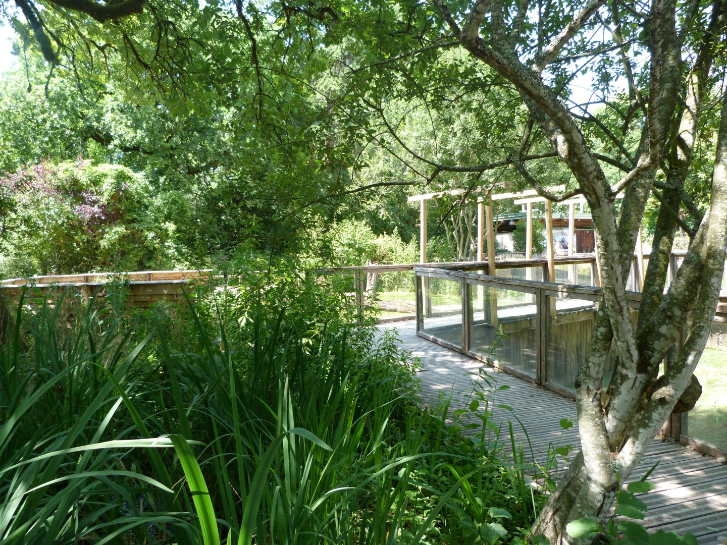 View of "Odyssée des Zones Humides" -Zoodyssée (2025)