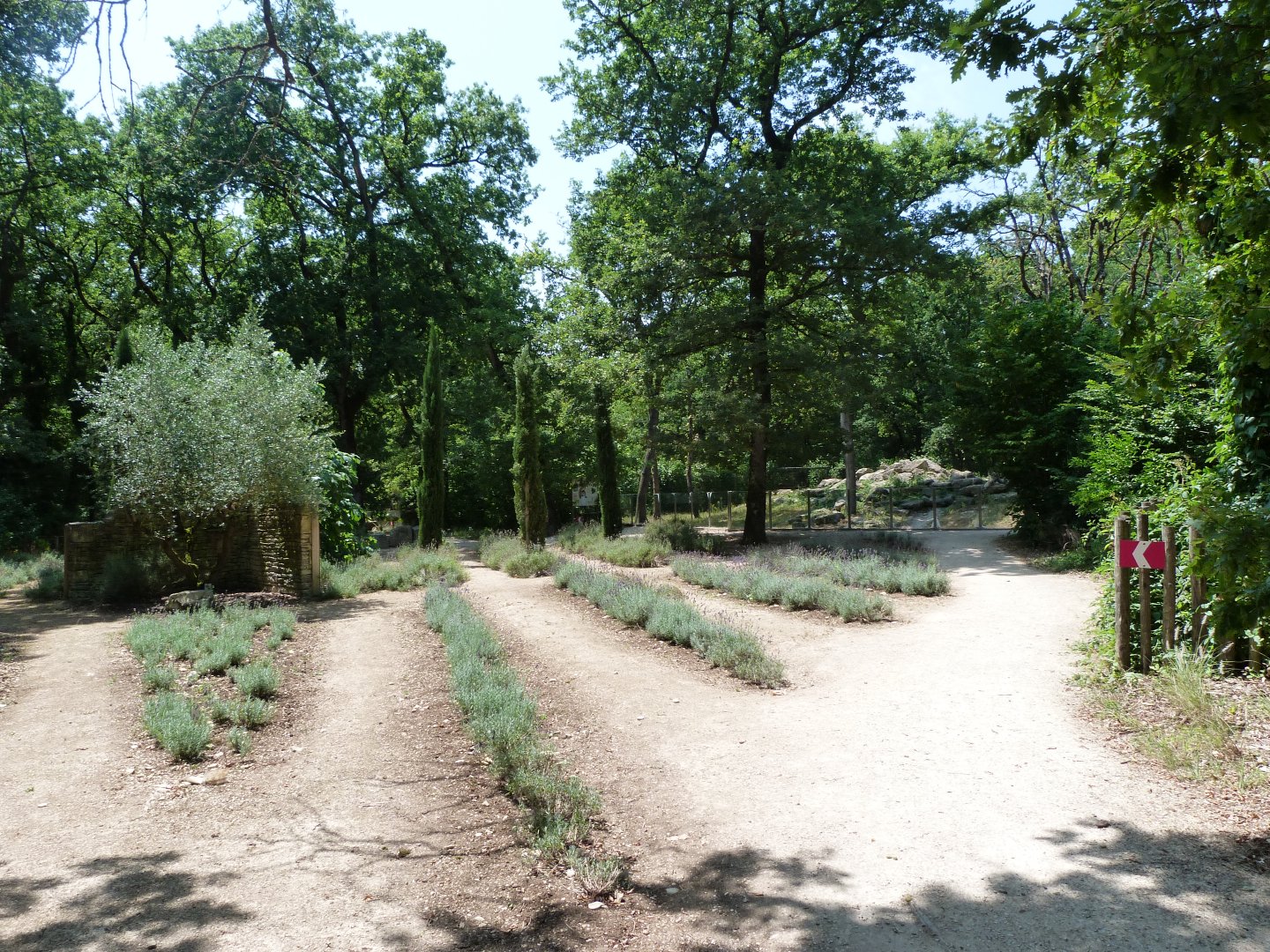 View of "Odyssée Méditerranée" -Zoodyssée (2025)