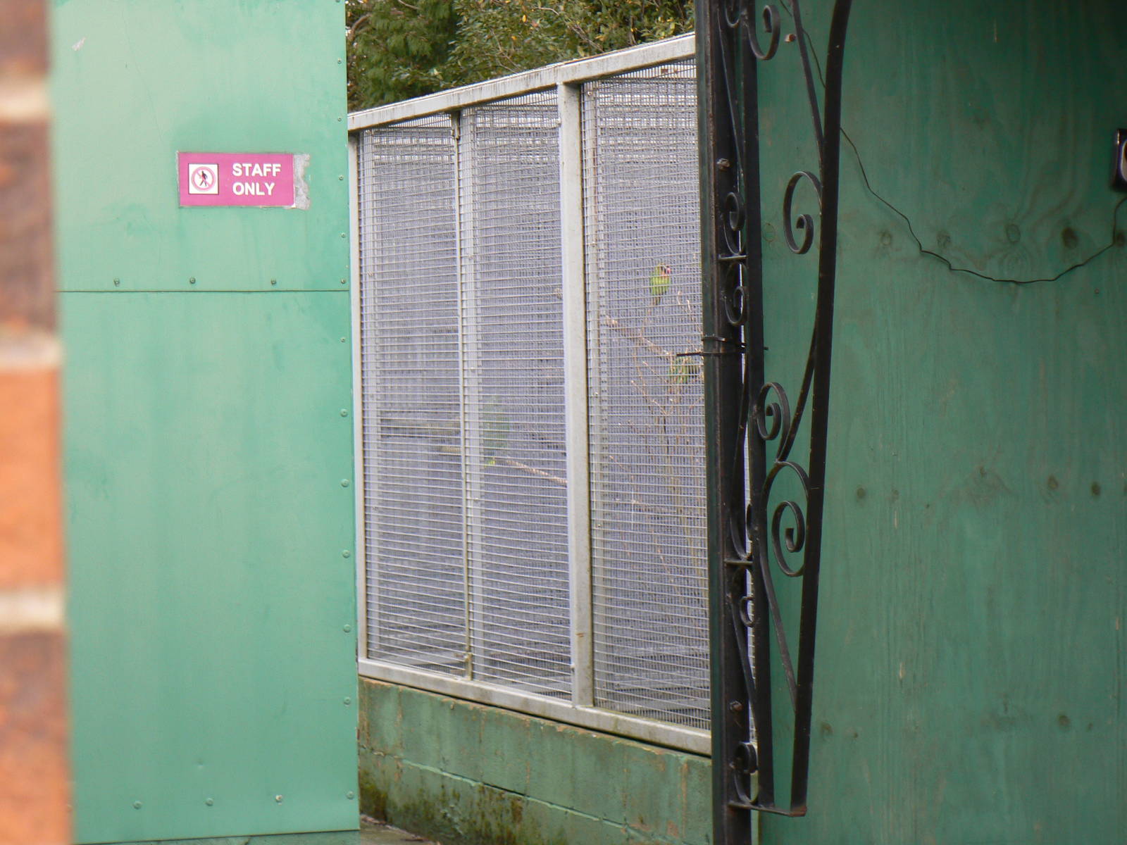 View of Off-show Aviaries - 6 December 2015